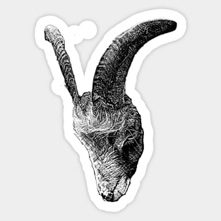 Alistair the Goat Sticker